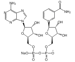 β-Nicotinamide adenine dinucleotide