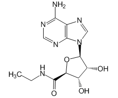 5'-Ethylcarboxamidoadenosine