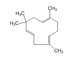 α-Caryophyllene