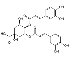 Isochlorogenic acid B