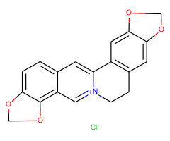 Coptisine chloride