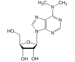 6-Dimethylamino-9-(-D-ribofuranosyl)purine