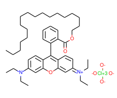 Rhodamine B octadecyl ester perchlorate