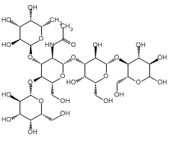 Lacto-N-fucopentaose III