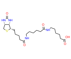 N-Biotinylcaproylaminocaproic Acid