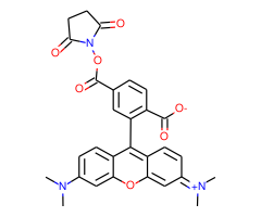 6-Carboxytetramethylrhodamine, succinimidyl ester, single isomer