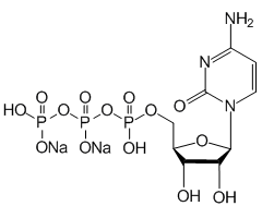 Cytidine 5′-triphosphate disodium salt