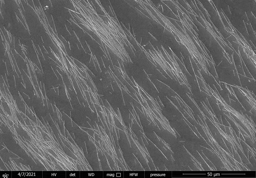 Oleic acid coated Fe3O4 magnetic nanoparticles, 1 mg/mL Fe dispersion in hexane, diam.: 7 - 10 nm