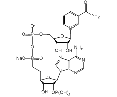 -Nicotinamide adenine dinucleotide phosphate sodium salt