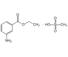 Ethyl 3-Aminobenzoate Methanesulfonate