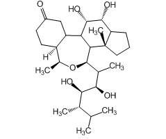 Brassinolide