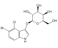 5-Bromo-4-chloro-3-indolyl -D-galactopyranoside
