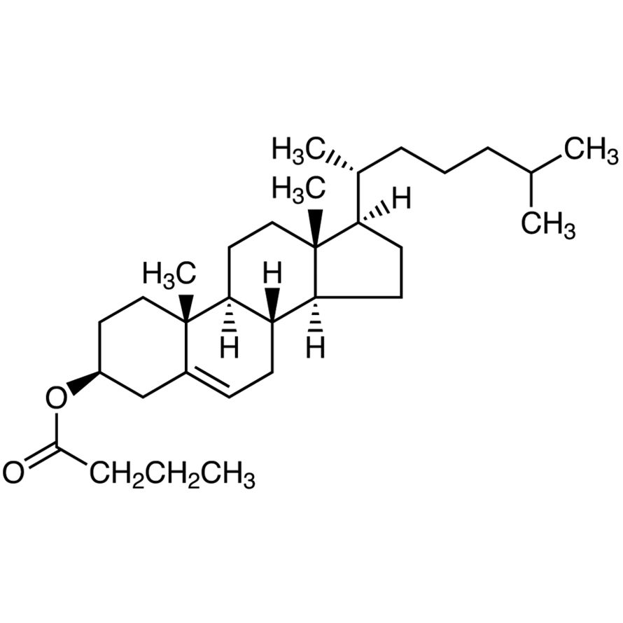 Cholesterol Butyrate