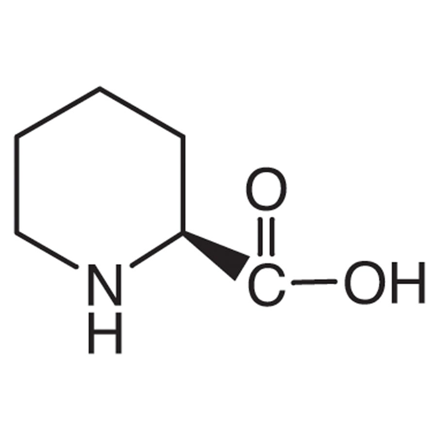 L-Pipecolic Acid