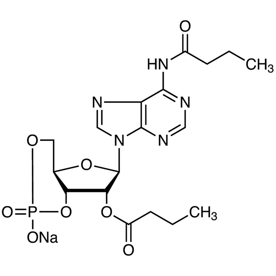 Bucladesine Sodium Salt