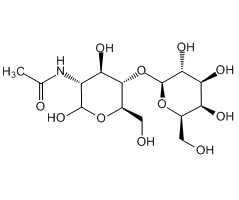 N-Acetyl-D-lactosamine