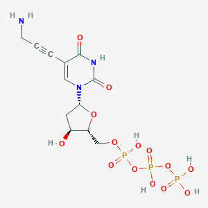 5-(3-Amino-1-propyn-1-yl)-2'-deoxyuridine 5'-(Tetrahydrogen Triphosphate)ͼƬ