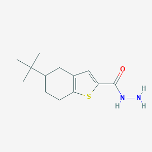 5-Tert-butyl-4,5,6,7-tetrahydro-1-benzothiophene-2-carbohydrazideͼƬ