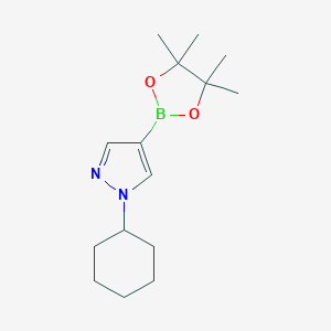 1---4-ƵǴͼƬ