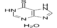 6-Mercaptopurine monohydrate,antimetabolite of hypoxanthineͼƬ