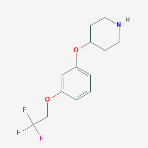 4-[3-(2,2,2-Trifluoroethoxy)-phenoxy]-piperidineͼƬ