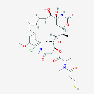 DM1ͼƬ