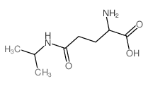 h-gln(isopropyl)-ohͼƬ