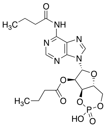 Butyryladenosine CyclophosphateͼƬ