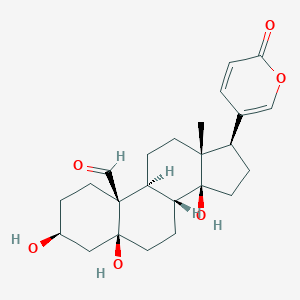 HellebrigeninͼƬ