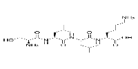 SLLK,Control Peptide for TSP1 InhibitorͼƬ