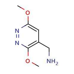 (3,6-dimethoxypyridazin-4-yl)methanamineͼƬ