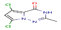 5,7-dichloro-2-methyl-3H,4H-pyrrolo[2,1-f][1,2,4]triazin-4-oneͼƬ
