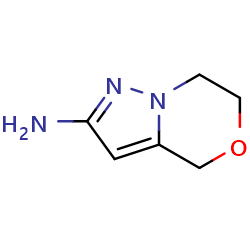 4H,6H,7H-pyrazolo[3,2-c][1,4]oxazin-2-amineͼƬ