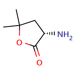 (3S)-3-amino-5,5-dimethyloxolan-2-oneͼƬ