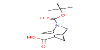 2-Aza-bicyclo[2,2,1]heptane-2,6-dicarboxylicacid2-tert-butylesterͼƬ
