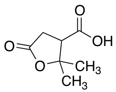 2,2-dimethyl-5-oxooxolane-3-carboxylicacidͼƬ