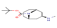 Exo-3-Methylamino-9-boc-9-azabicyclo[3,3,1]nonaneͼƬ