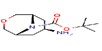 Tert-butyl7-amino-3-oxa-9-azabicyclo[3,3,1]nonane-9-carboxylateͼƬ