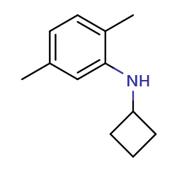N-cyclobutyl-2,5-dimethylanilineͼƬ