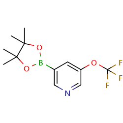 3-(4,4,5,5-tetramethyl-1,3,2-dioxaborolan-2-yl)-5-(trifluoromethoxy)pyridineͼƬ