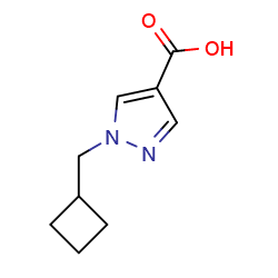 1-(cyclobutylmethyl)-1H-pyrazole-4-carboxylicacidͼƬ