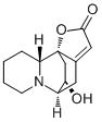 Virosine BͼƬ