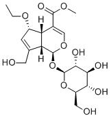 6-EthoxygeniposideͼƬ