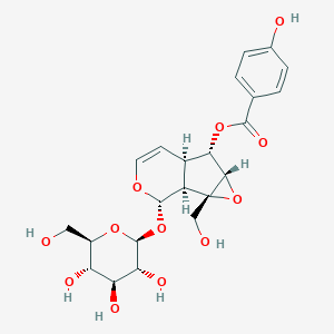 CatalposideͼƬ