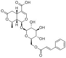 6'-O-Cinnamoyl-8-epikingisidic acidͼƬ