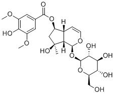 6-O-SyringoylajugolͼƬ