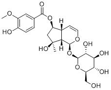 6-O-VanilloylajugolͼƬ