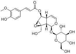 6-FeruloylcatalpolͼƬ