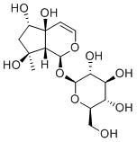 6-Epiharpagide图片