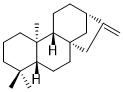 (-)-PhyllocladeneͼƬ